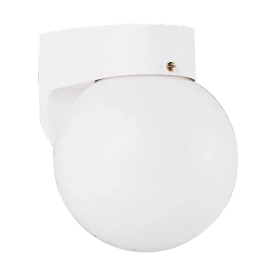 Outdoor Wall One Light LED Lantern in White