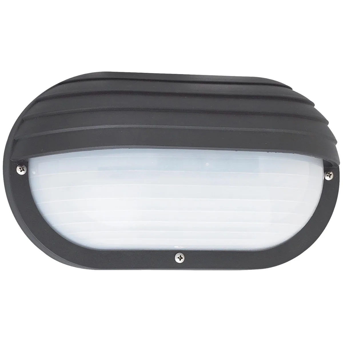 Bayside Outdoor Wall Lantern in Black