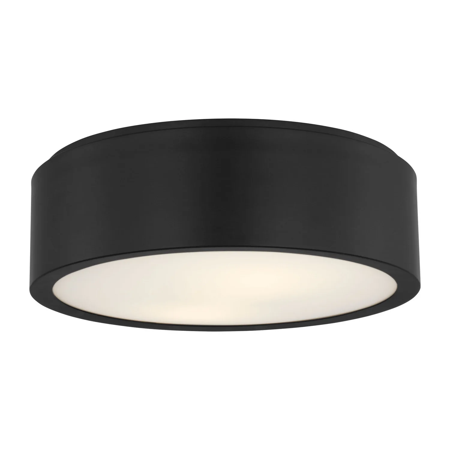 Albee Flush Mount in Midnight Black