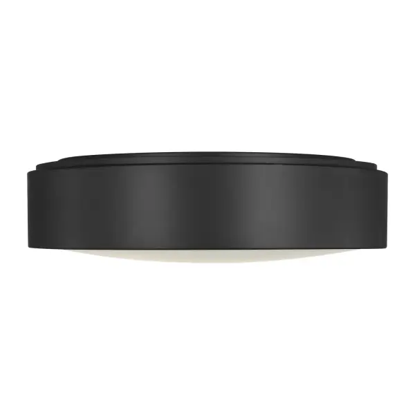 Flush Mount 60.00W/A19/E26 Medium