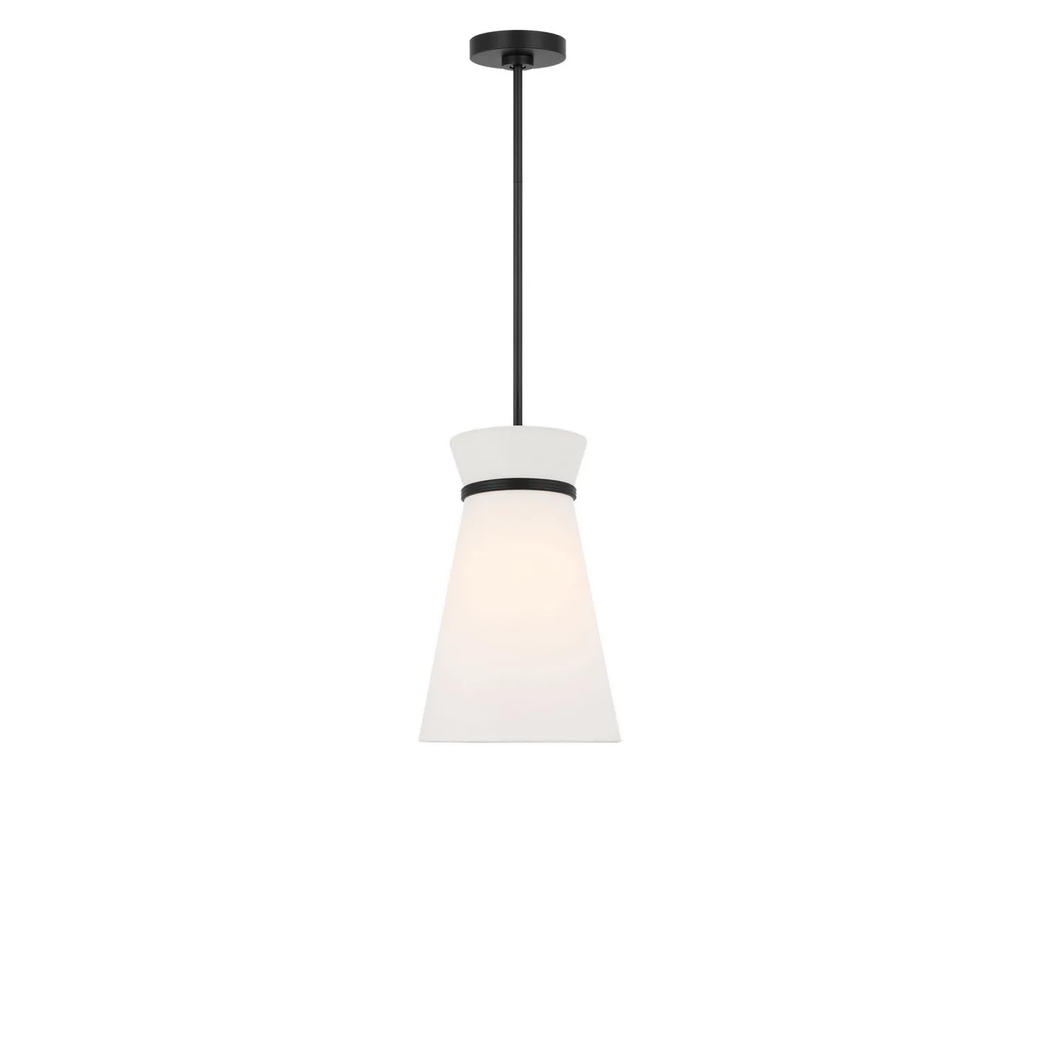 Fynn One Light Pendant in Midnight Black