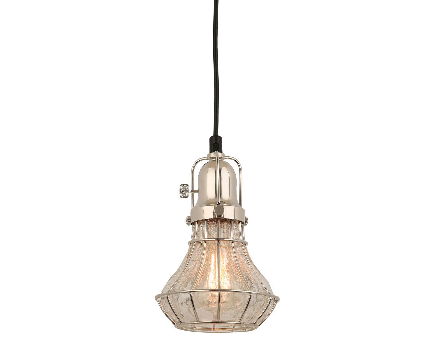 Lani One Light Pendant in Polished Nickel