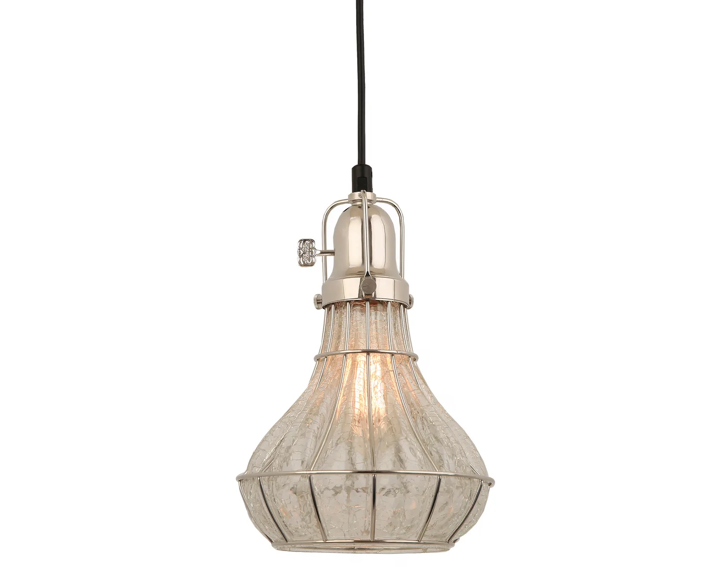 Lani One Light Pendant in Polished Nickel