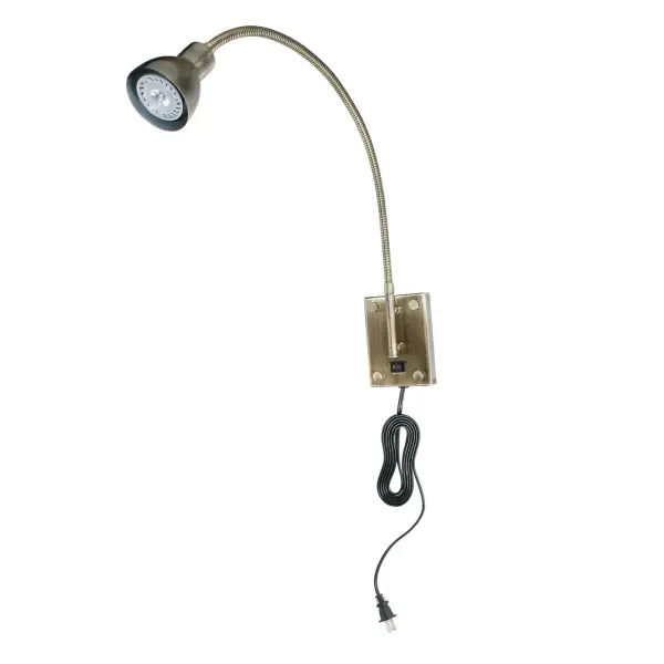 This plug-in LED gooseneck wall light offers adjustable, focused illumination perfect for reading or task work. The flexible arm provides optimal light control, while the antique brass finish adds warmth to any space.