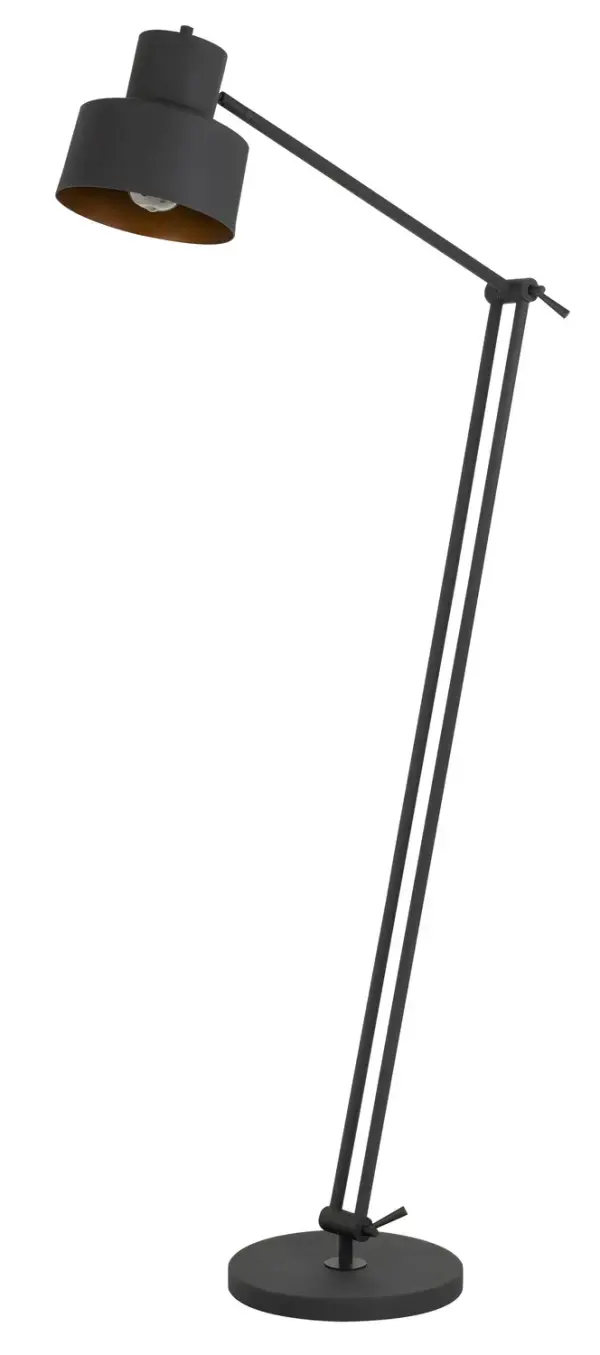 Davidson One Light Floor Lamp in Matte Black
