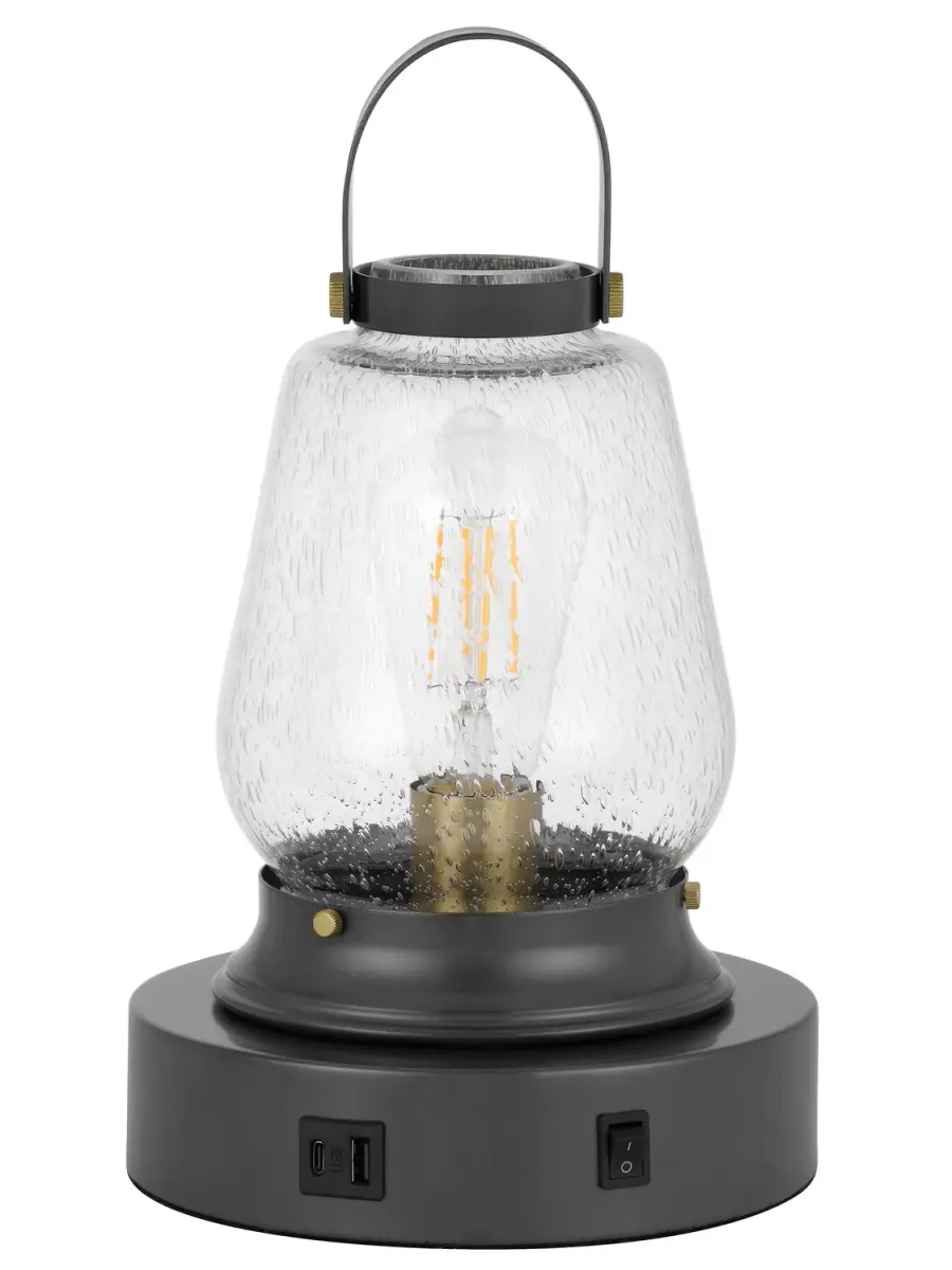 Terri One Light Accent Lamp in Dark Bronze