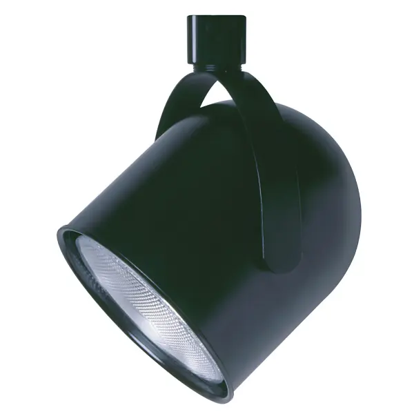 This durable metal track fixture offers exceptional flexibility with 30-degree tilt and 355-degree rotation capability. Designed for PAR38 bulbs, it provides focused, adjustable lighting ideal for accent and task applications.