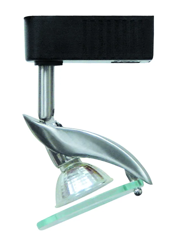Track Head Fixture in Brushed Steel