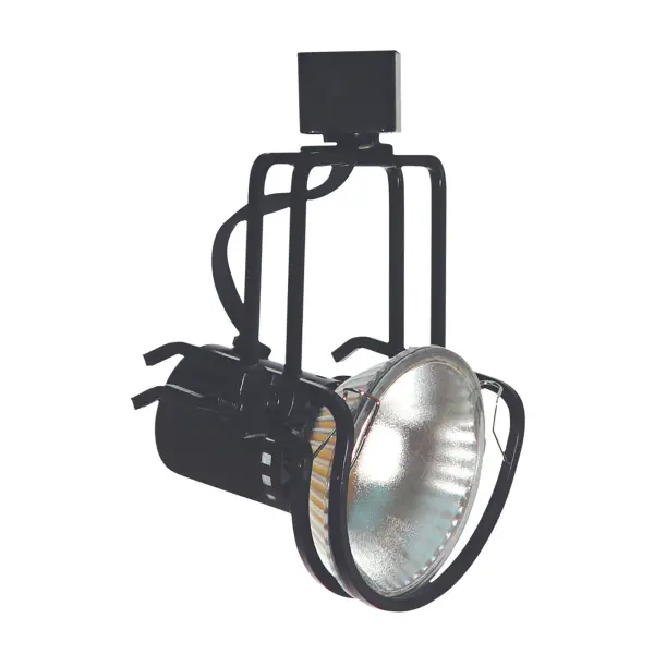This line voltage track fixture offers exceptional flexibility with 355-degree rotation and 90-degree vertical adjustment. Durable metal construction in black finish accommodates PAR38 bulbs up to 150W for powerful accent lighting.