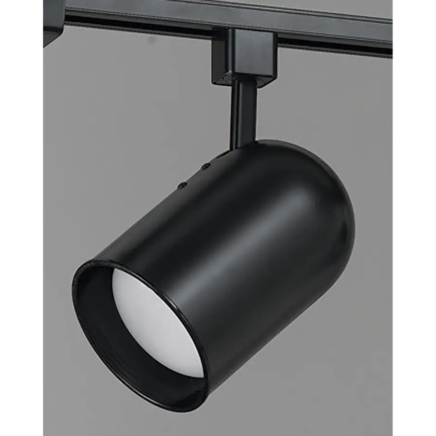 PAR30 Adjustable Track Head in Dark Bronze