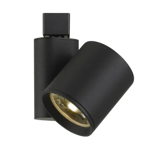 This dimmable integrated LED track fixture delivers 2680 lumens with a focused 24-degree beam spread, ideal for accent and task lighting. The warm 3300K color temperature creates inviting ambiance while the metal construction ensures durability.