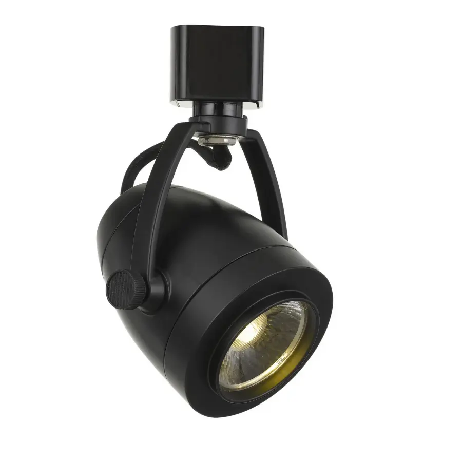 12W LED Track Fixture in Black