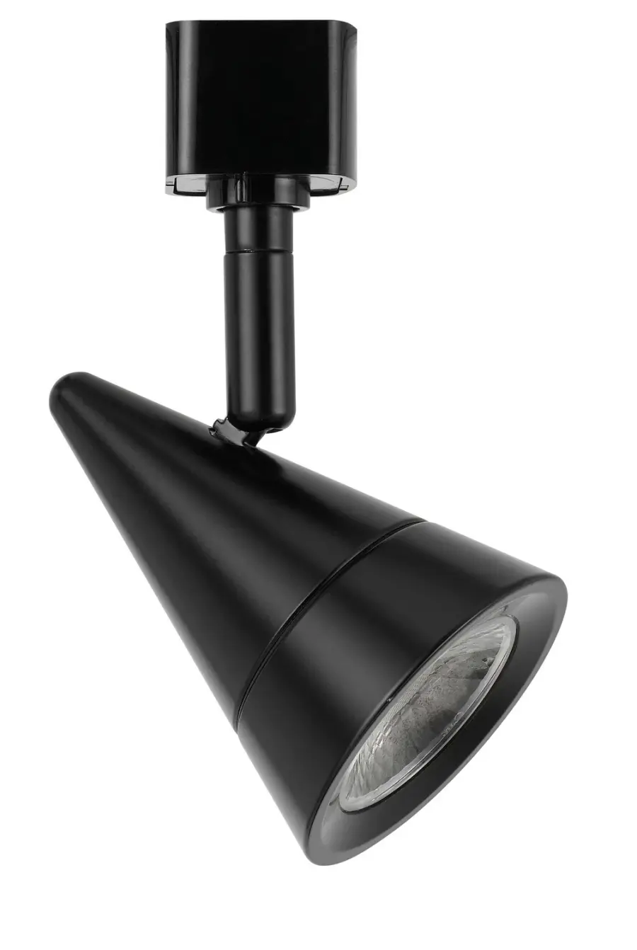 LED Track Fixture in Black