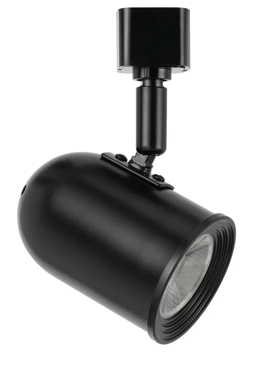 LED Track Fixture in Black