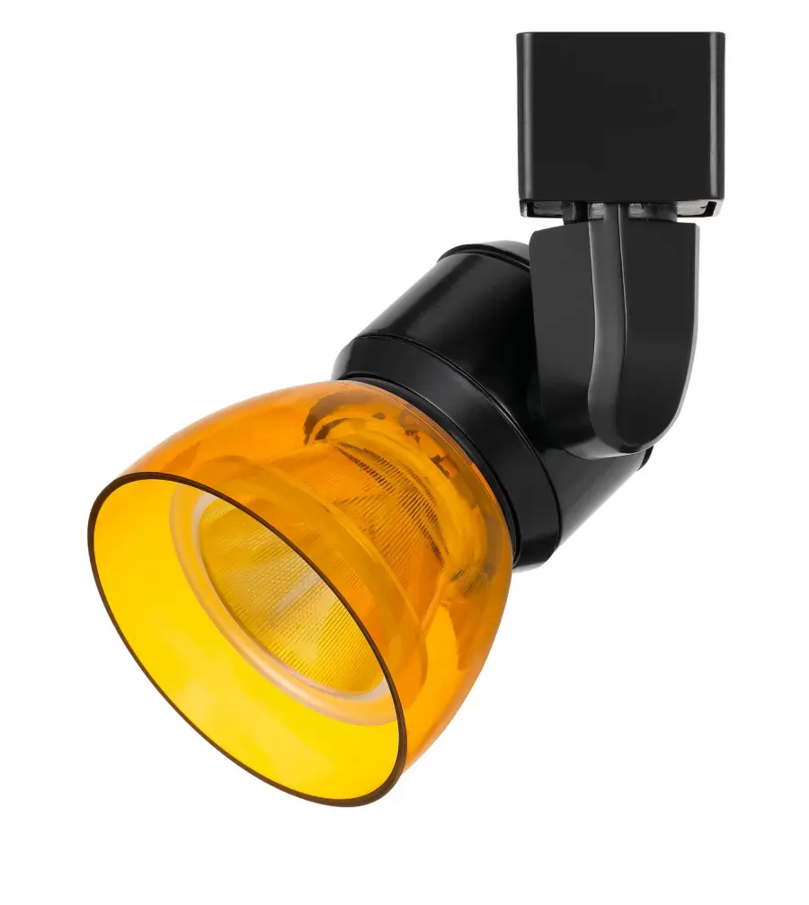 LED Track Fixture in Black