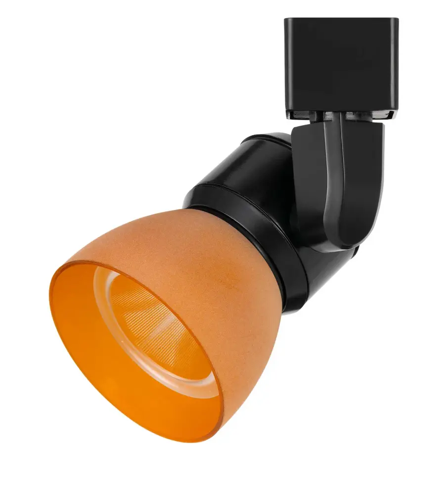 LED Track Fixture in Black