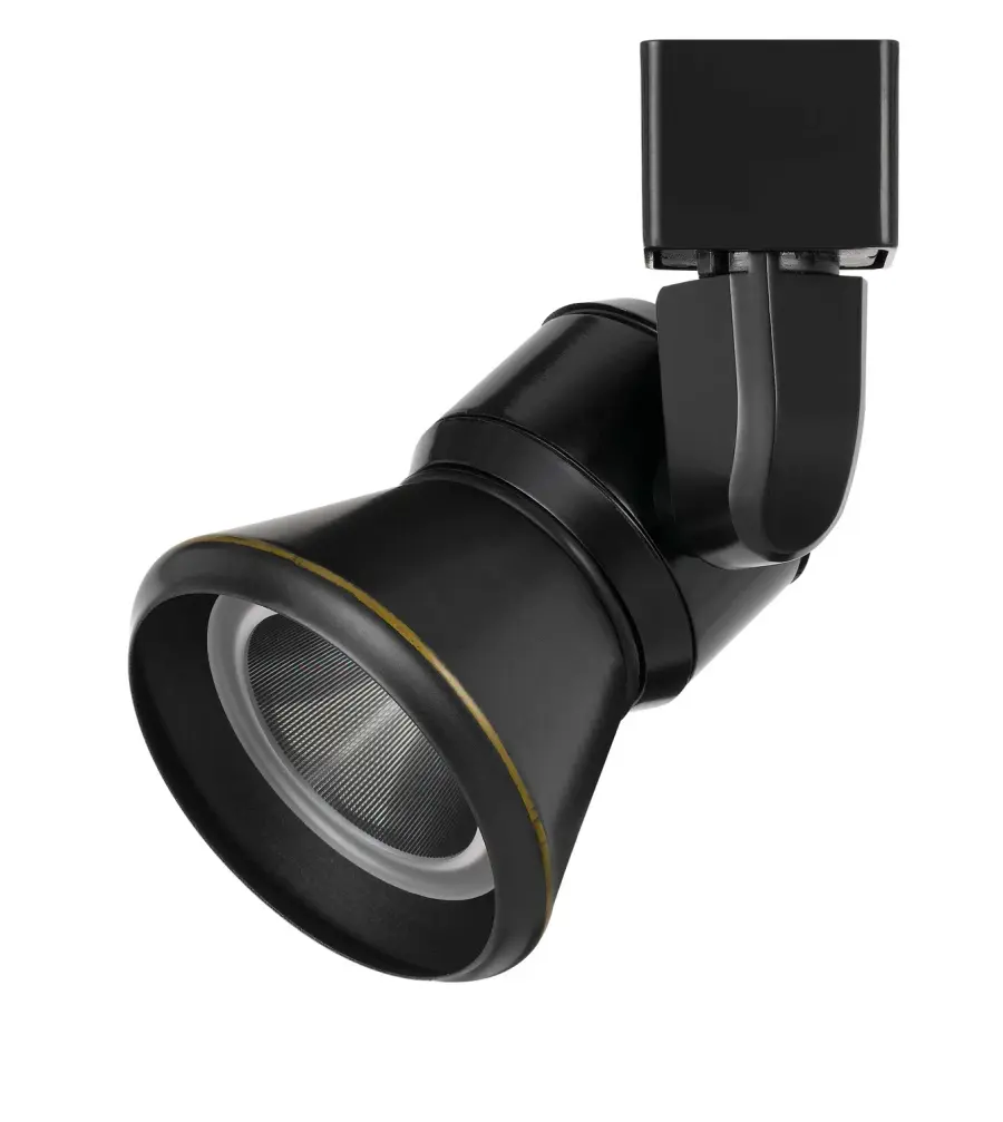 LED Track Fixture in Black