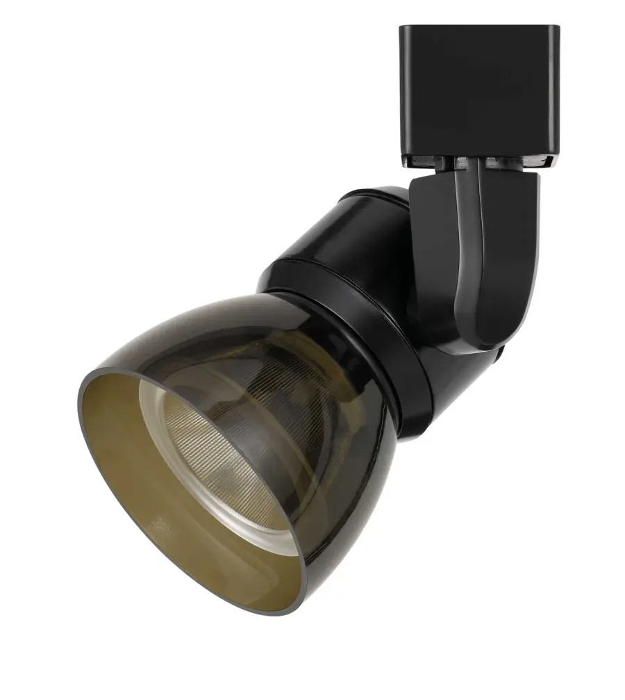 LED Track Fixture in Black