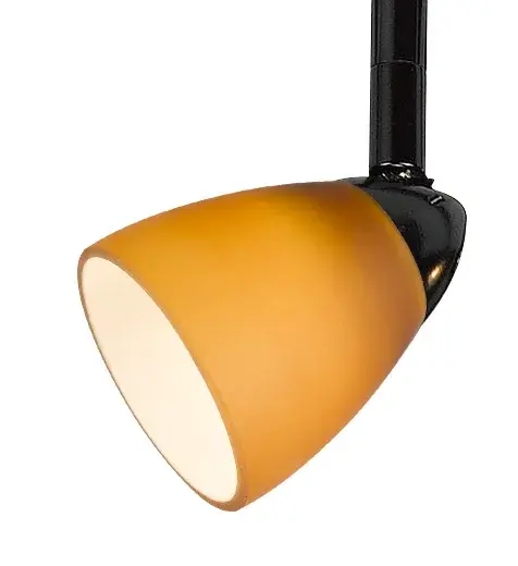 Serpentine Track One Light Track Fixture in Black