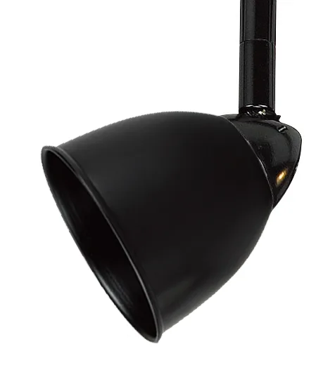 Serpentine Track One Light Track Fixture in Black