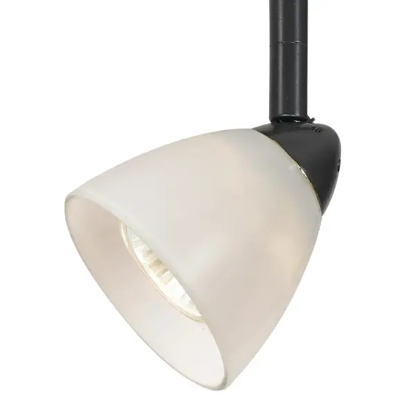 The Serpentine Track fixture offers adjustable accent lighting in a compact form. Its dark bronze finish adds sophistication while the 50W capacity provides focused illumination for task or display lighting.