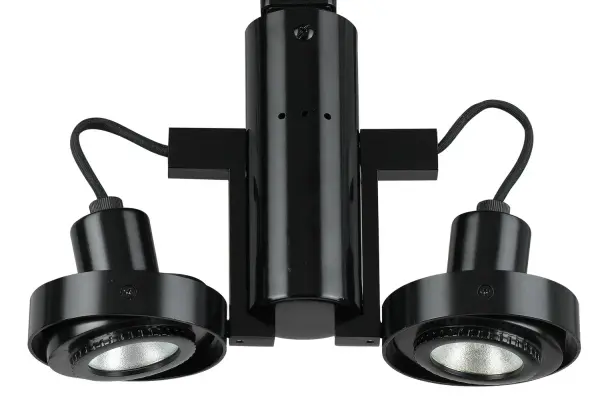This compact black track fixture delivers focused illumination with dual MR-16 bulbs. Perfect for highlighting artwork, task areas, or architectural features with adjustable directional control.