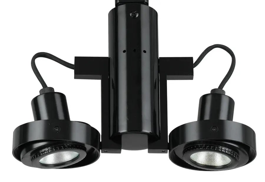 Two Light Track Fixture in Black