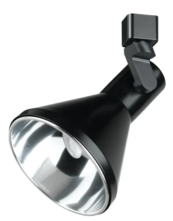 Black Track Light Fixture