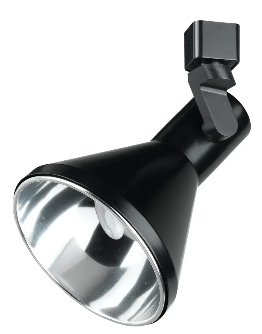 Black Track Light Fixture