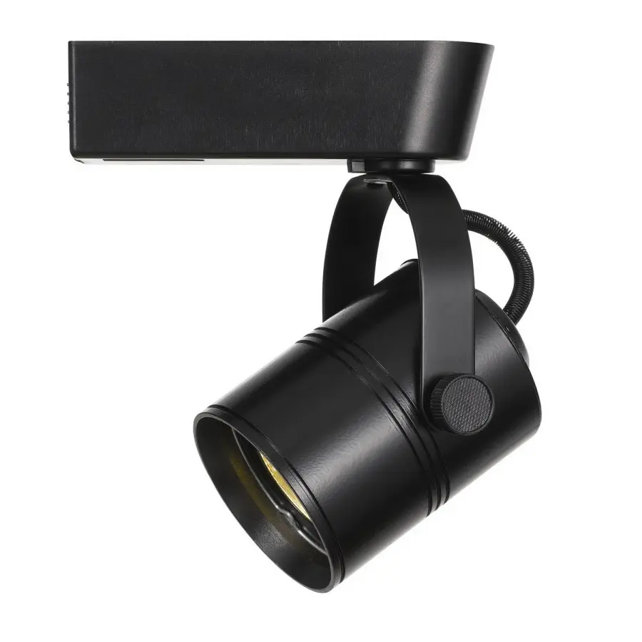 LED Track Fixture in Black