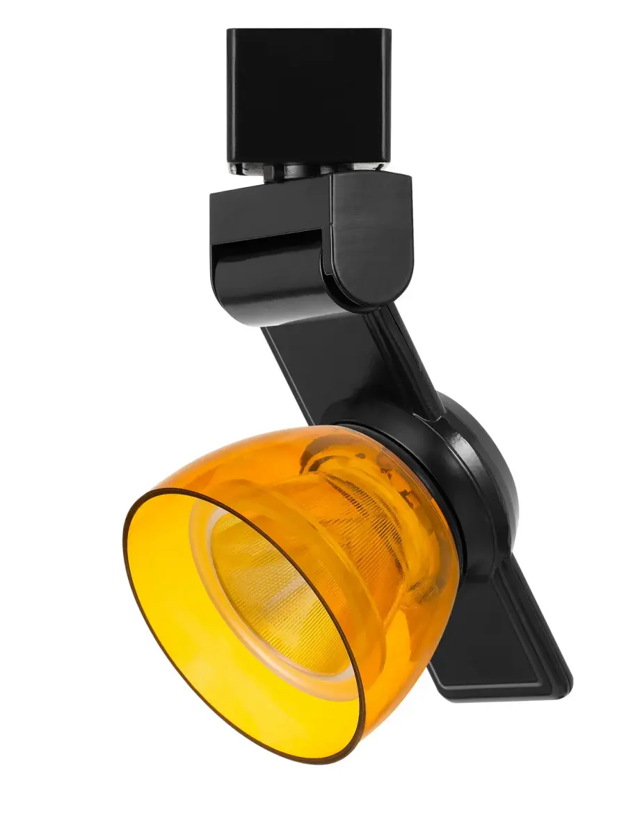 LED Track Fixture in Black