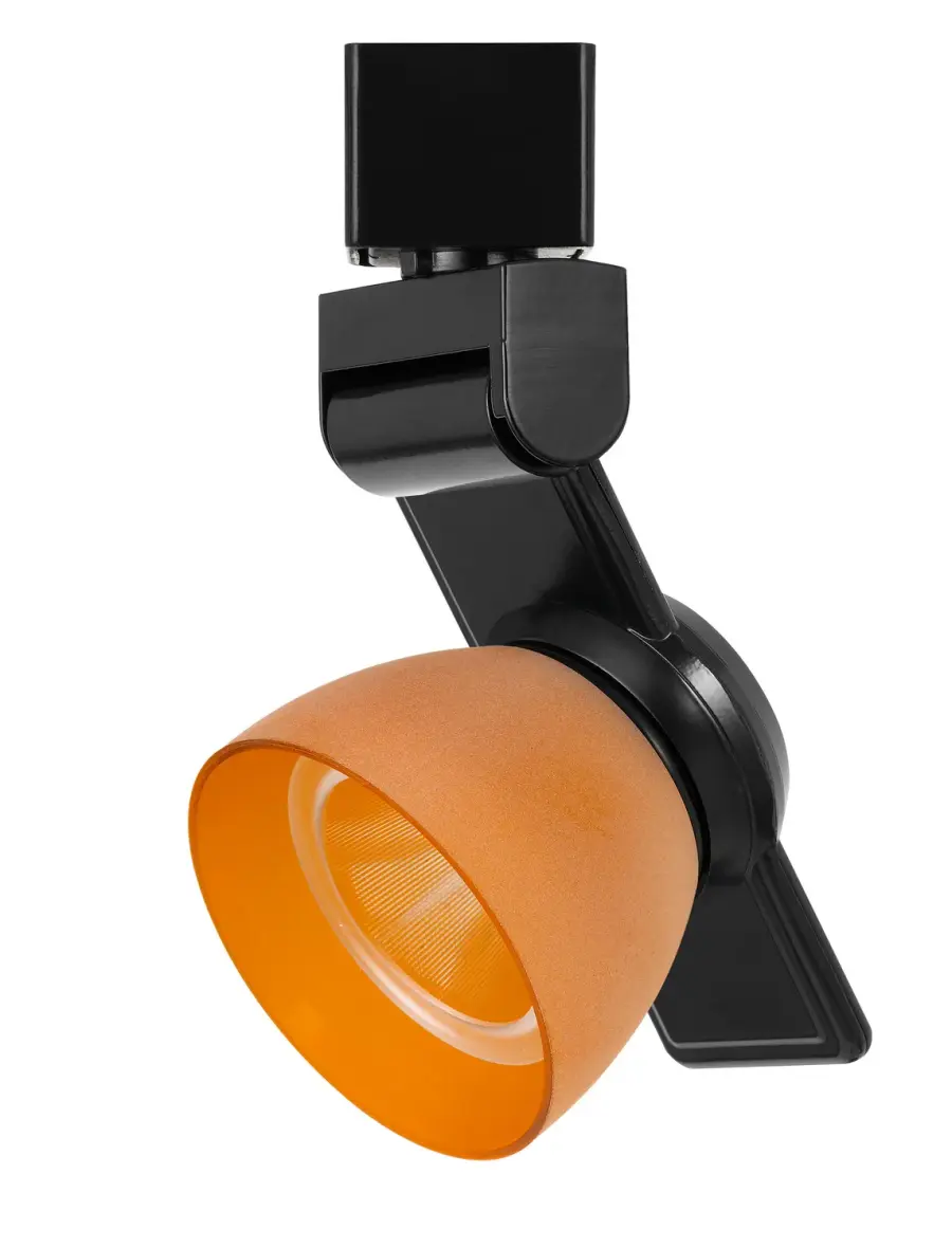 LED Track Fixture in Black