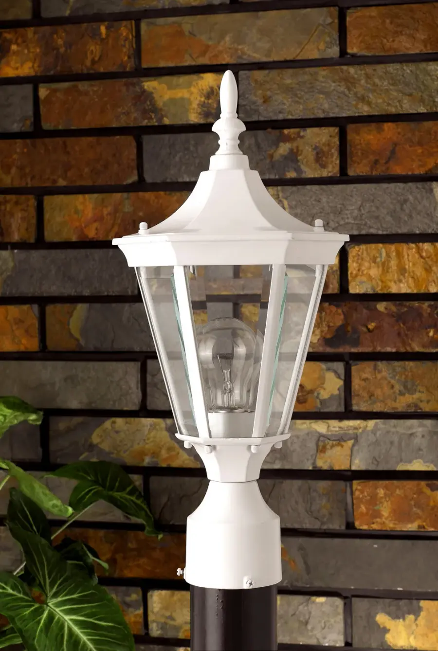 The Cal Lighting by Cal Lighting