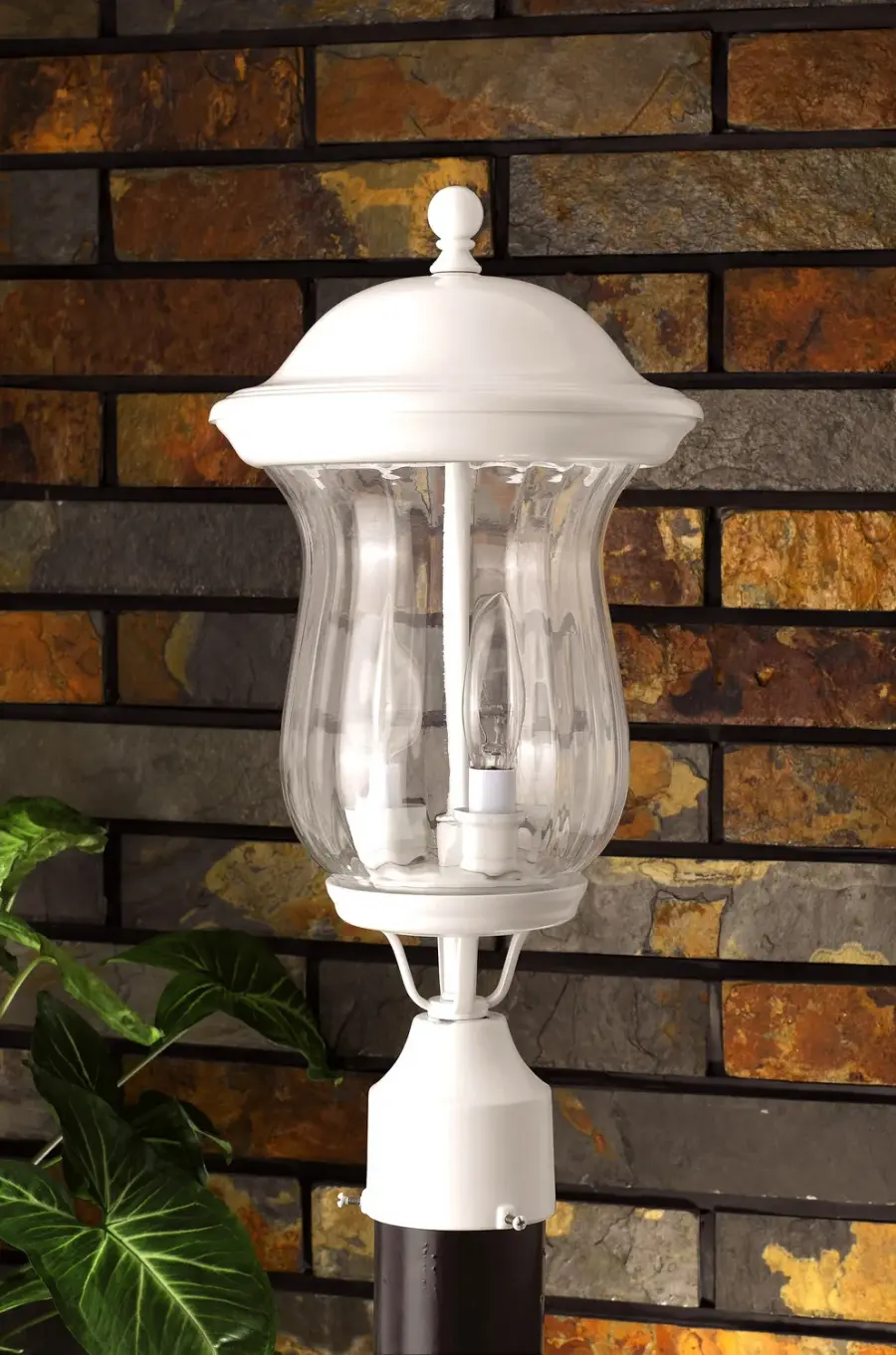 The Cal Lighting by Cal Lighting