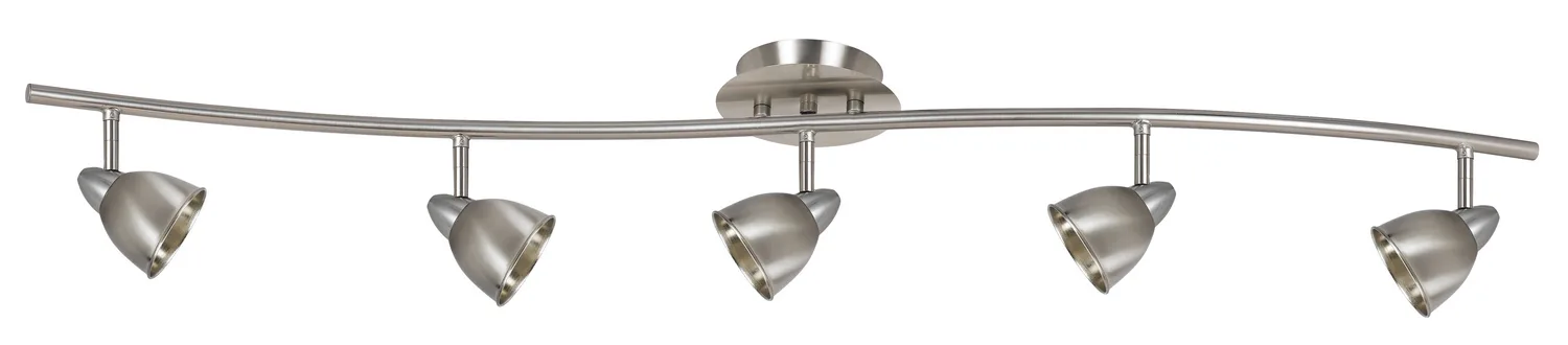 Serpentine Five Light Pendant in Brushed Steel
