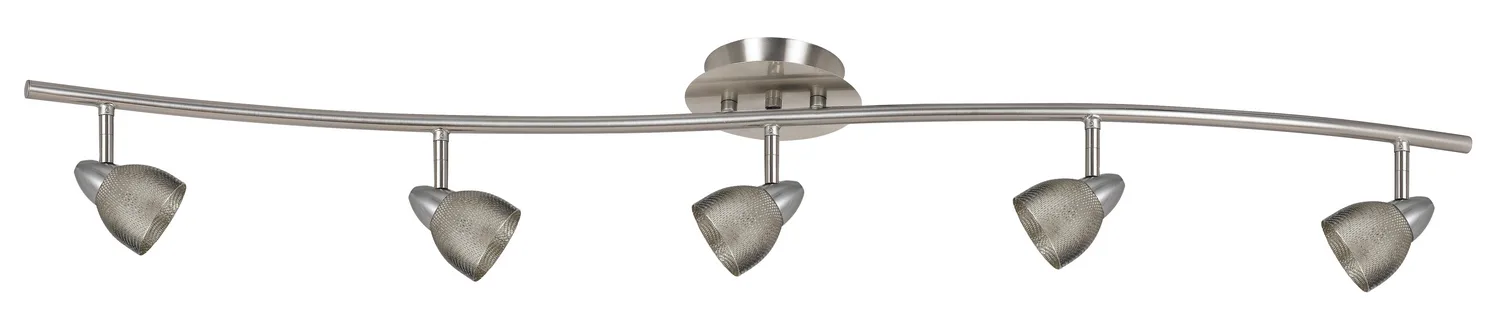 Serpentine Five Light Pendant in Brushed Steel