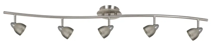 Serpentine Five Light Pendant in Brushed Steel