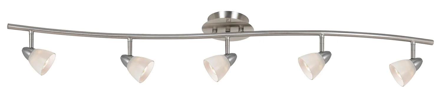 Serpentine Five Light Pendant in Brushed Steel