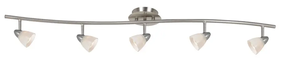 Serpentine Five Light Pendant in Brushed Steel