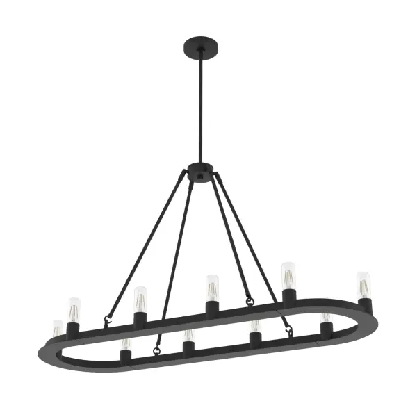 Saddlewood 10-Light Linear Chandelier in Natural Black Iron - Image 9
