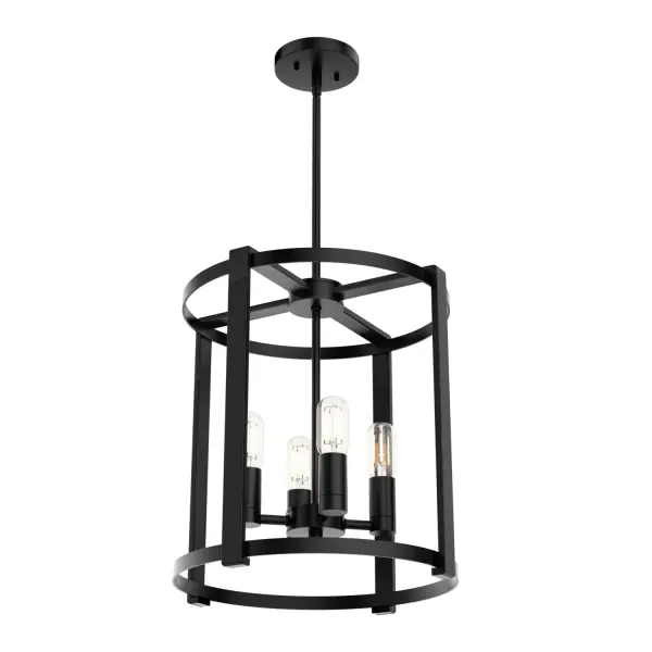 Add a layer of refined style to your space with the Astwood 4 Light Chandelier. This round chandelier blends clean lines and subtle art deco-inspired caged detailing for a timeless, versatile look. Whether styled in a dining area, foyer, or open-concept layout, the Astwood's balanced design complements both modern and transitional aesthetics. Its thoughtful construction and elevated finish options bring a curated, sophisticated feel to any room. Rated for indoor use only Requires 4 E26 bulbs. Bulbs not included. Down Mount Only Includes (4) 12 inch stems and (1) 6 inch stems. MADE FOR INDOORS: For use in indoor spaces like kitchens, bedrooms, living rooms, dining rooms, and entryways. BULB RECOMMENDATION: Maximum 60 W per light bulb or equivalent LED bulb. Bulbs not included. PICTURED HERE: Match our image using ST64 Edison light bulbs. COORDINATING COLLECTION: Works with Astwood ceiling fan collection CUSTOMIZABLE HANGING OPTIONS: With the minimum required downrod, the hanging length is 25.5 inches. When using all of the included downrods, the maximum hanging length is 73.5 inches. WARRANTY: One-year limited warranty backed by the trusted experts at Hunter.