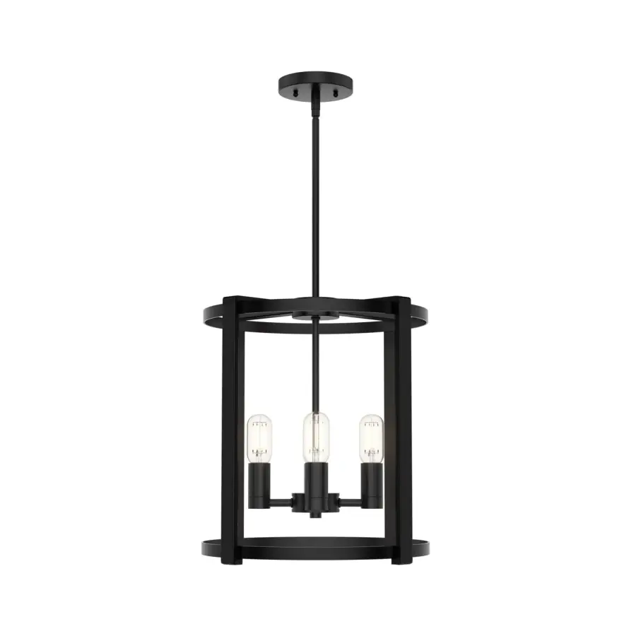 Astwood 4-Light Chandelier in Matte Black - Image 29