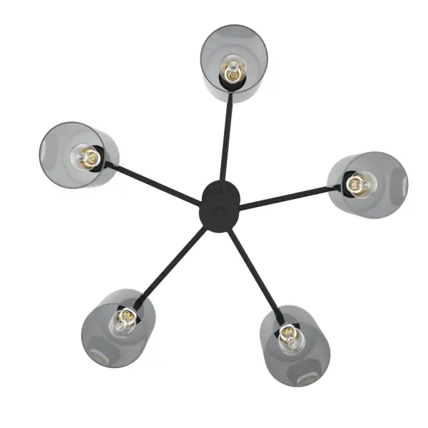 Lochemeade 5-Light Chandelier in Natural Black Iron - Image 9
