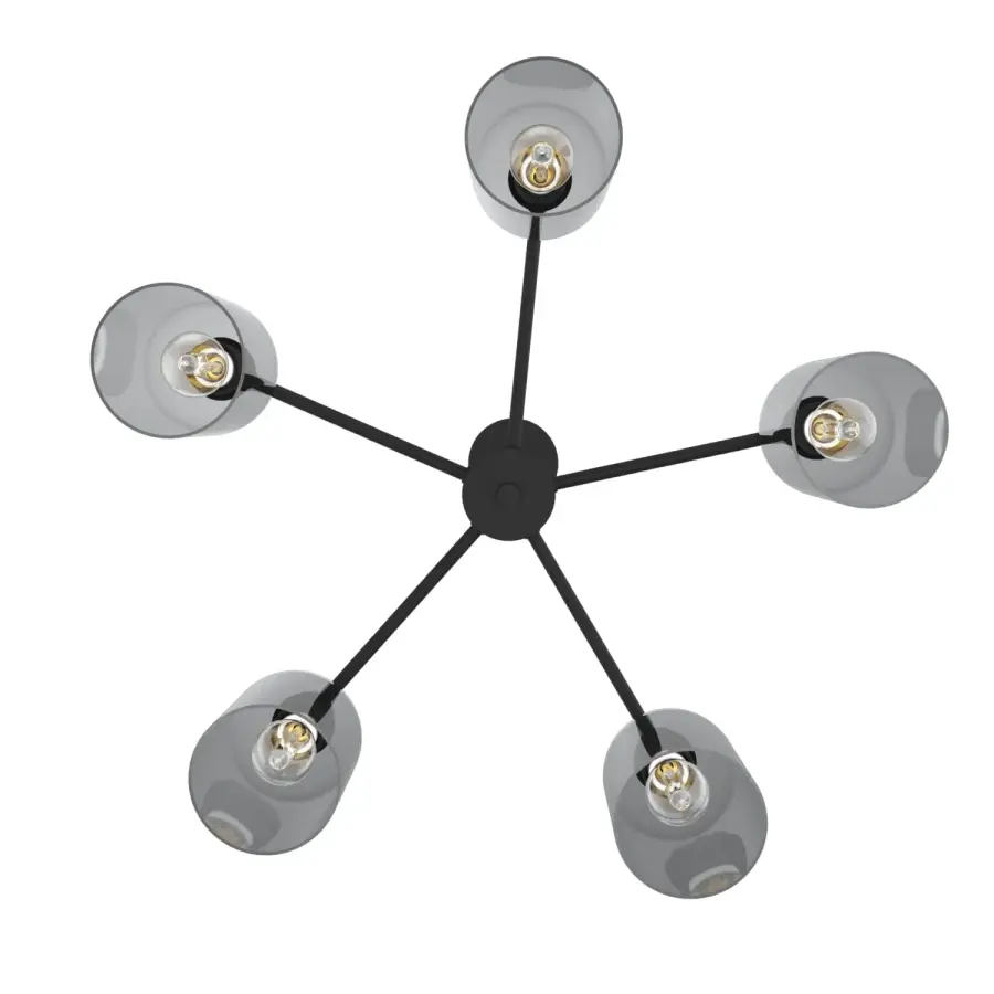 Lochemeade 5-Light Chandelier in Natural Black Iron - Image 9