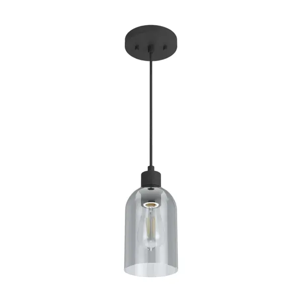 Lochemeade One Light Pendant in Natural Black Iron - Image 8