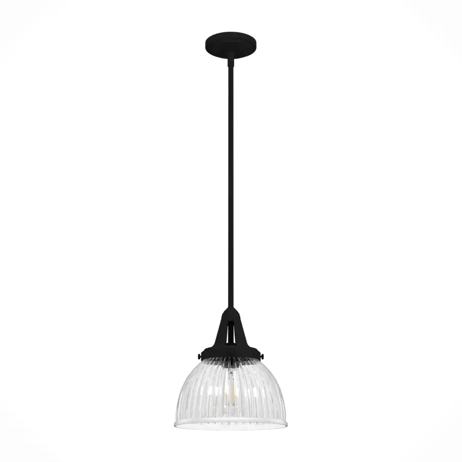Cypress Grove One Light Pendant in Natural Black Iron - Image 1