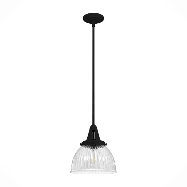 Unique dome-shaped lighting for every space. The Cypress Grove's timeless 10-inch pendant makes a statement with its fluted glass and modern finishes. Plus, the size of this pendant makes it a perfect addition over tables, kitchen islands, and entryways. This fixture's clean lines make it a perfect fit in both transitional and modern spaces. Rated for indoor use only Requires 1 E26 bulbs. Bulbs not included. MADE FOR INDOORS: For use in indoor spaces like kitchens, bedrooms, living rooms, dining rooms, and entryways. BULB RECOMMENDATION: Maximum 60 W per light bulb or equivalent LED bulb. Bulbs not included. PICTURED HERE: Match our image using ST64 Edison light bulbs. CUSTOMIZABLE HANGING OPTIONS: With the minimum required downrod, the hanging length is 19.75 inches. When using all of the included downrod, the maximum hanging length is 67.75 inches. WARRANTY: One-year limited warranty backed by the trusted experts at Hunter.