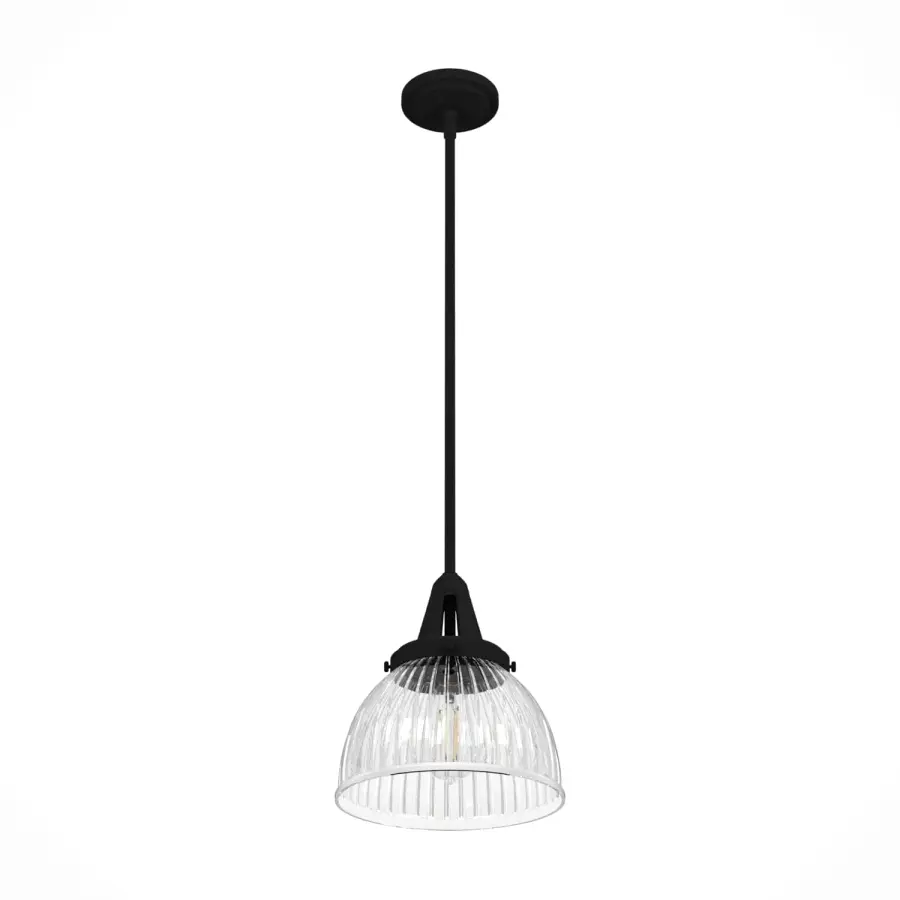 Cypress Grove One Light Pendant in Natural Black Iron - Image 20