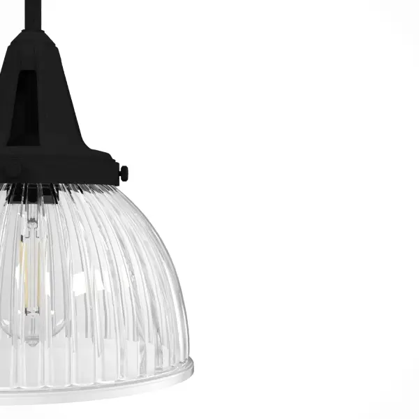 Cypress Grove One Light Pendant in Natural Black Iron - Image 23