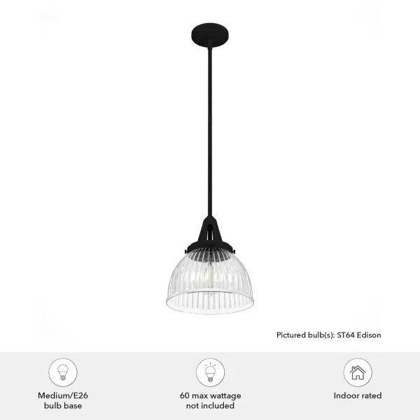 Cypress Grove One Light Pendant in Natural Black Iron - Image 7